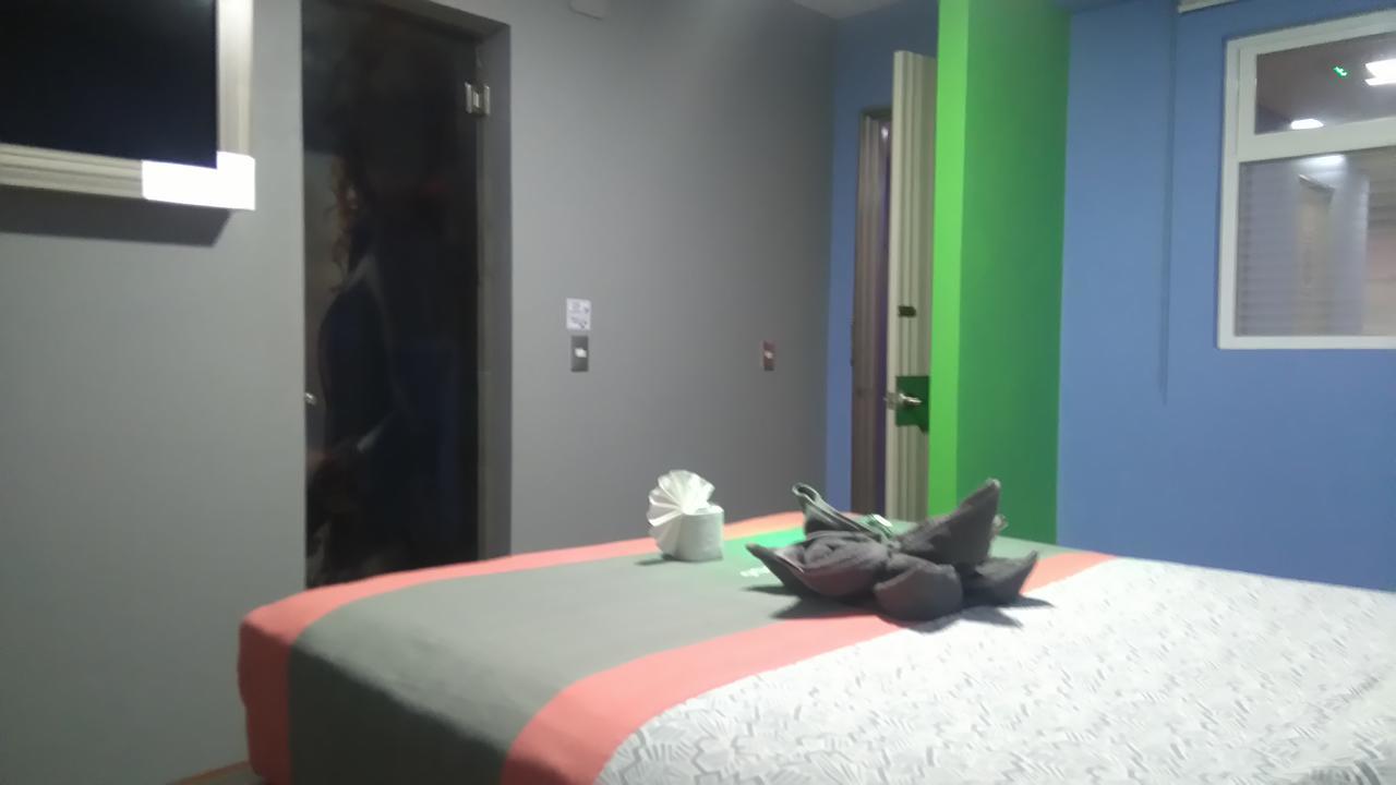Hotel H - Eco Adults Only メキシコシティ エクステリア 写真